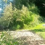 Haus Am Wald Appartement