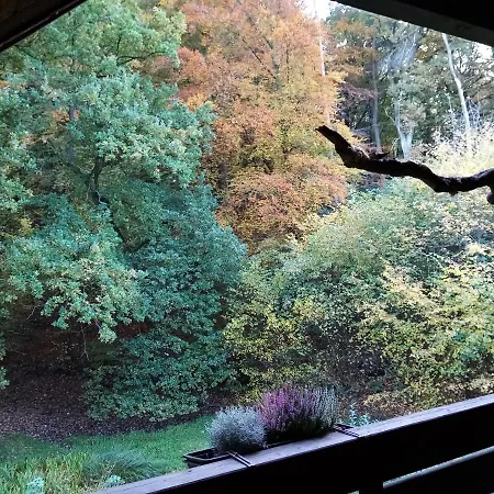 Haus Am Wald Apartment