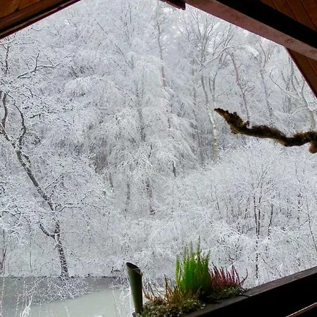 Haus Am Wald